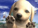 nitendogs tu la